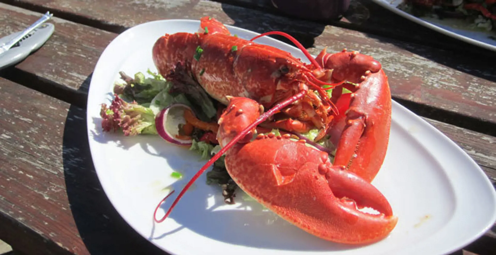 2014-gigha-lobster-rk.jpg (3)