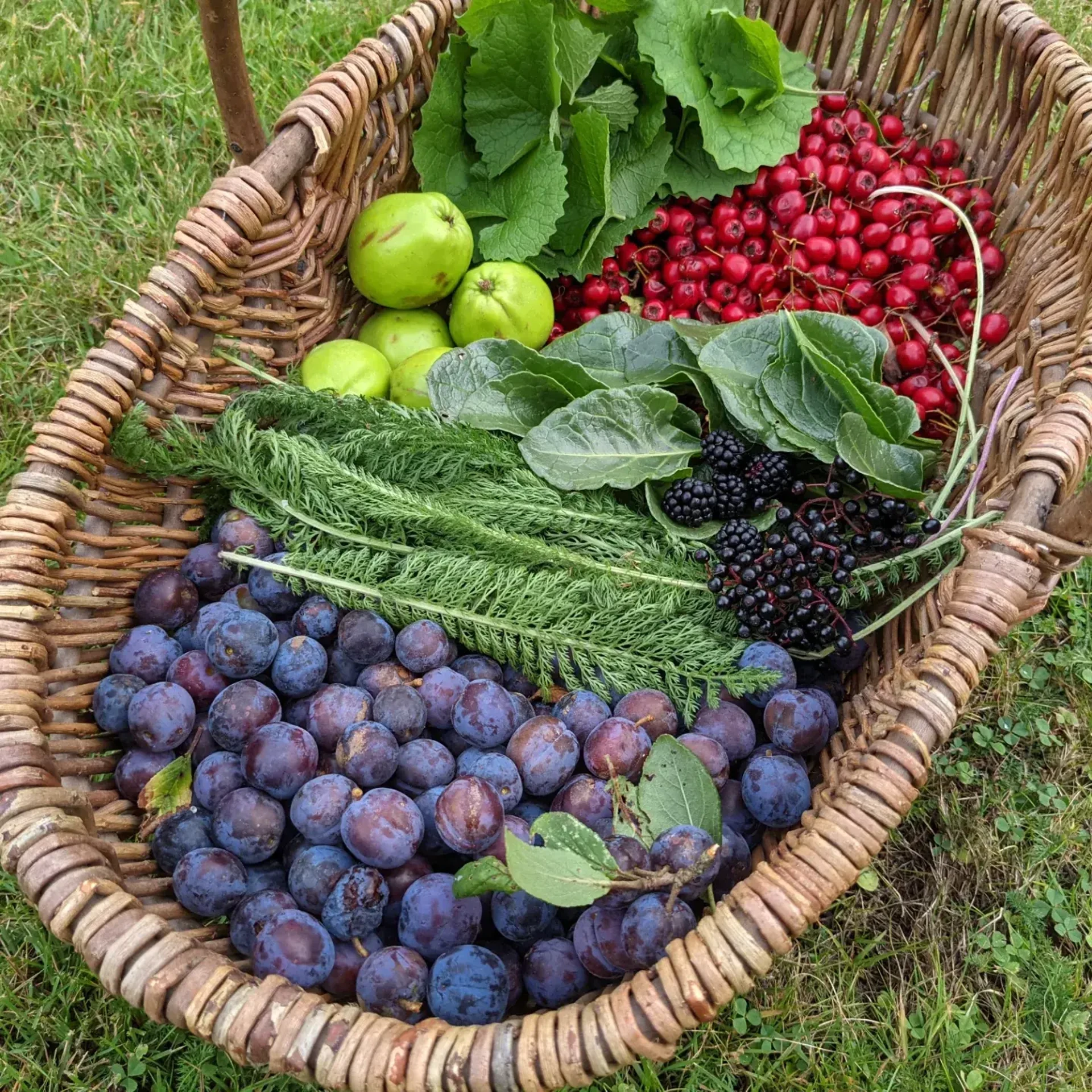 img_20230926_145107_731.jpg (6)