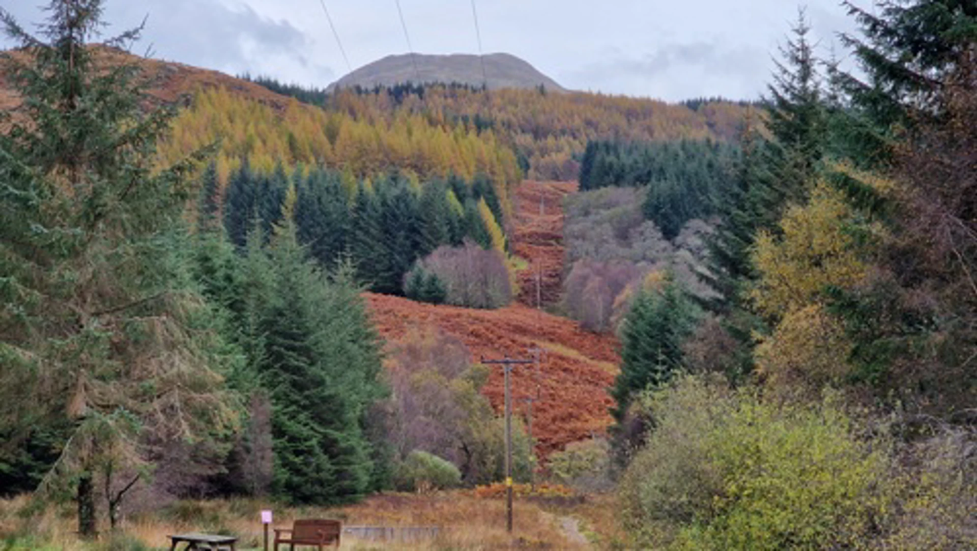 wild_about_argyll__3_.jpg