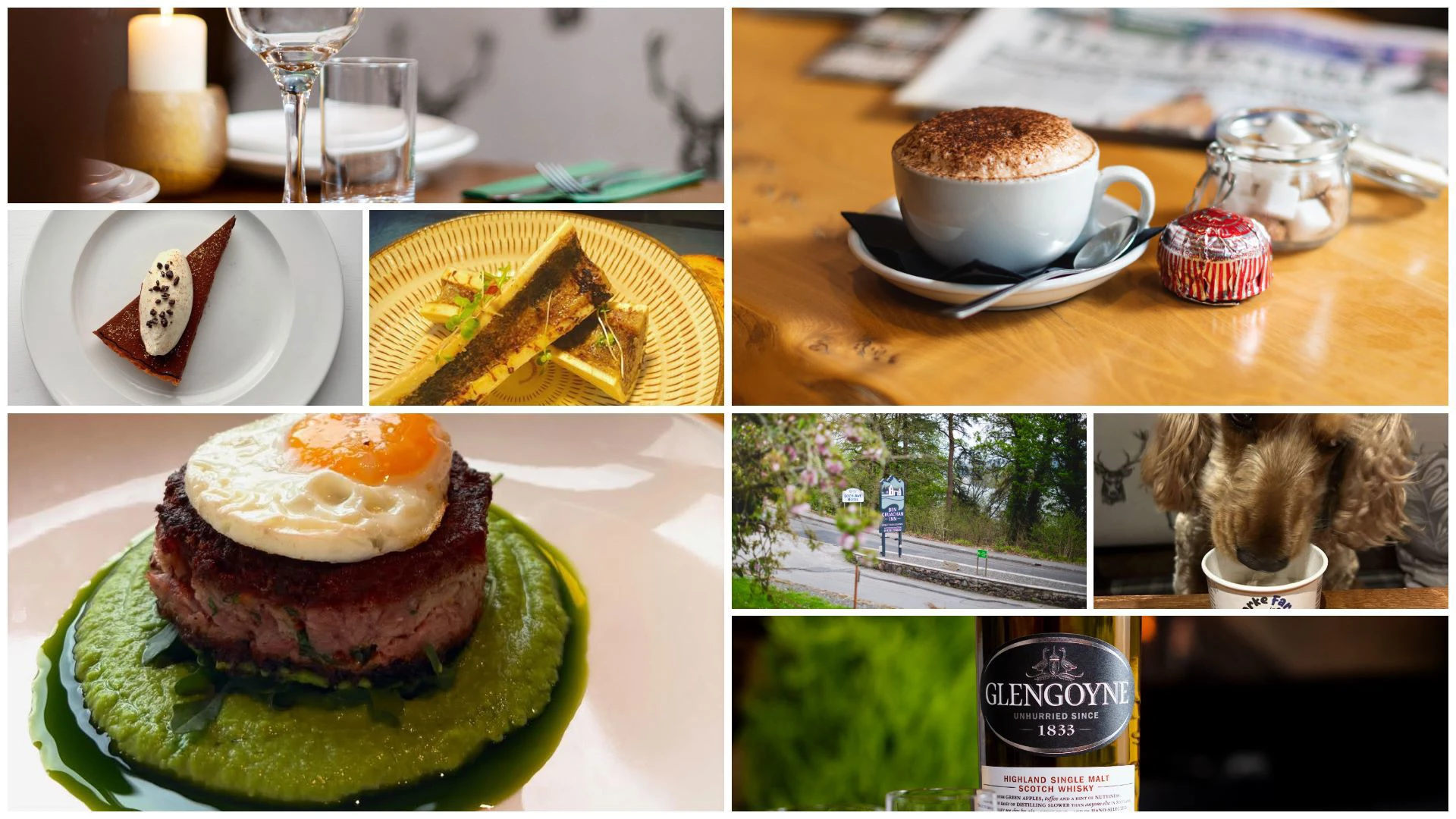 photo-collagepng-1.jpg