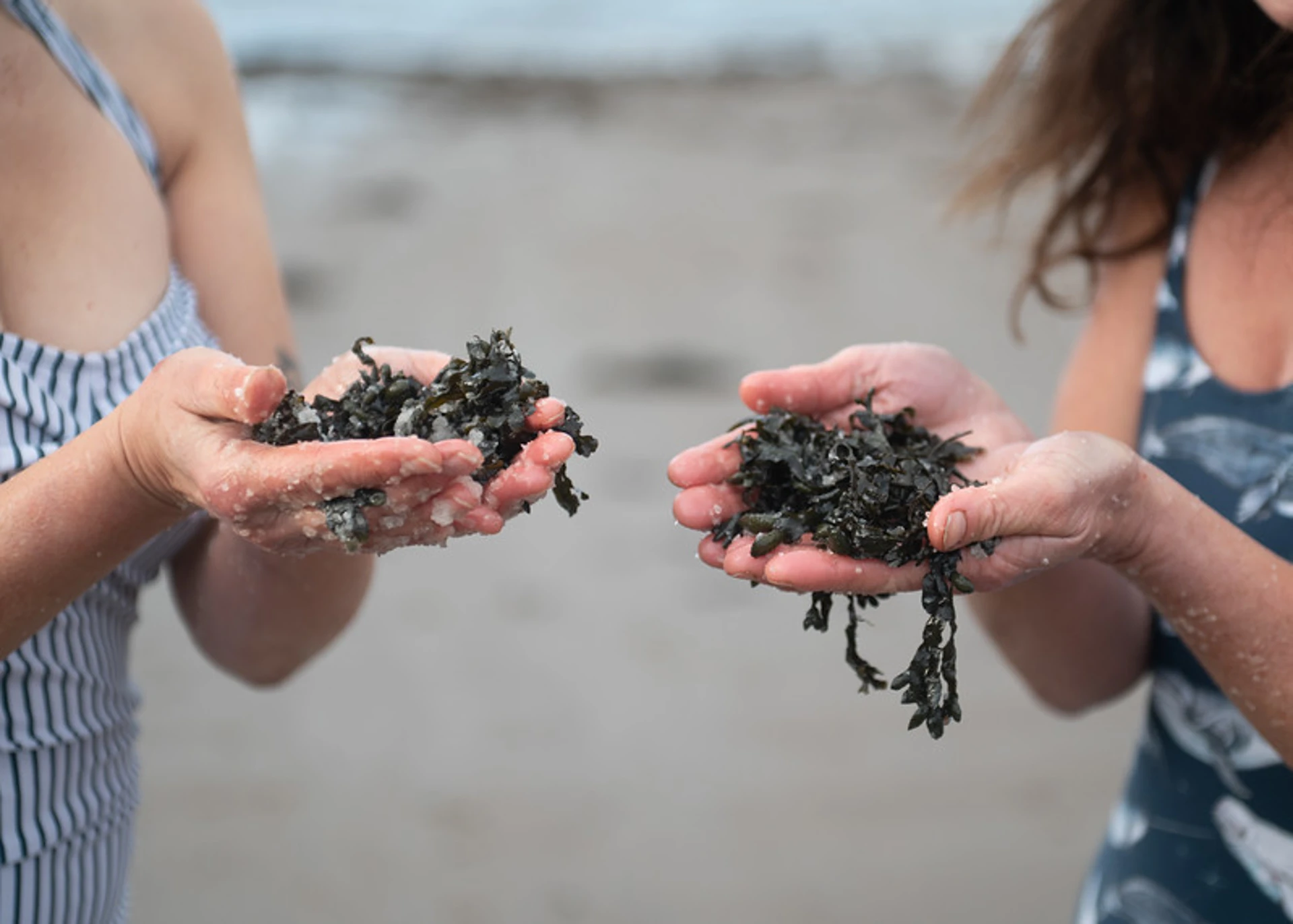 close-up-hands-salt-scrub.jpg (7)