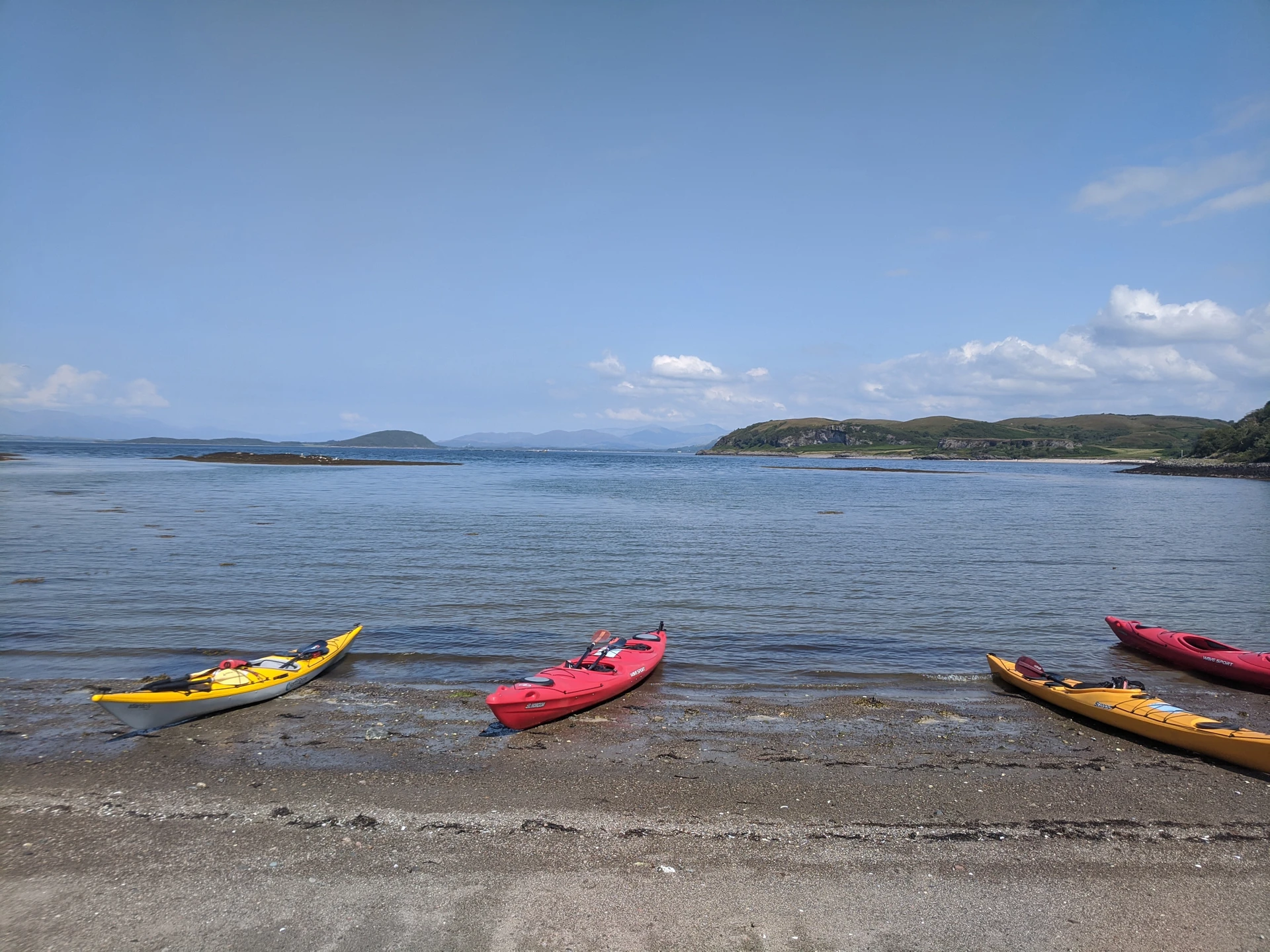 img_20200813_141427.jpg (4)