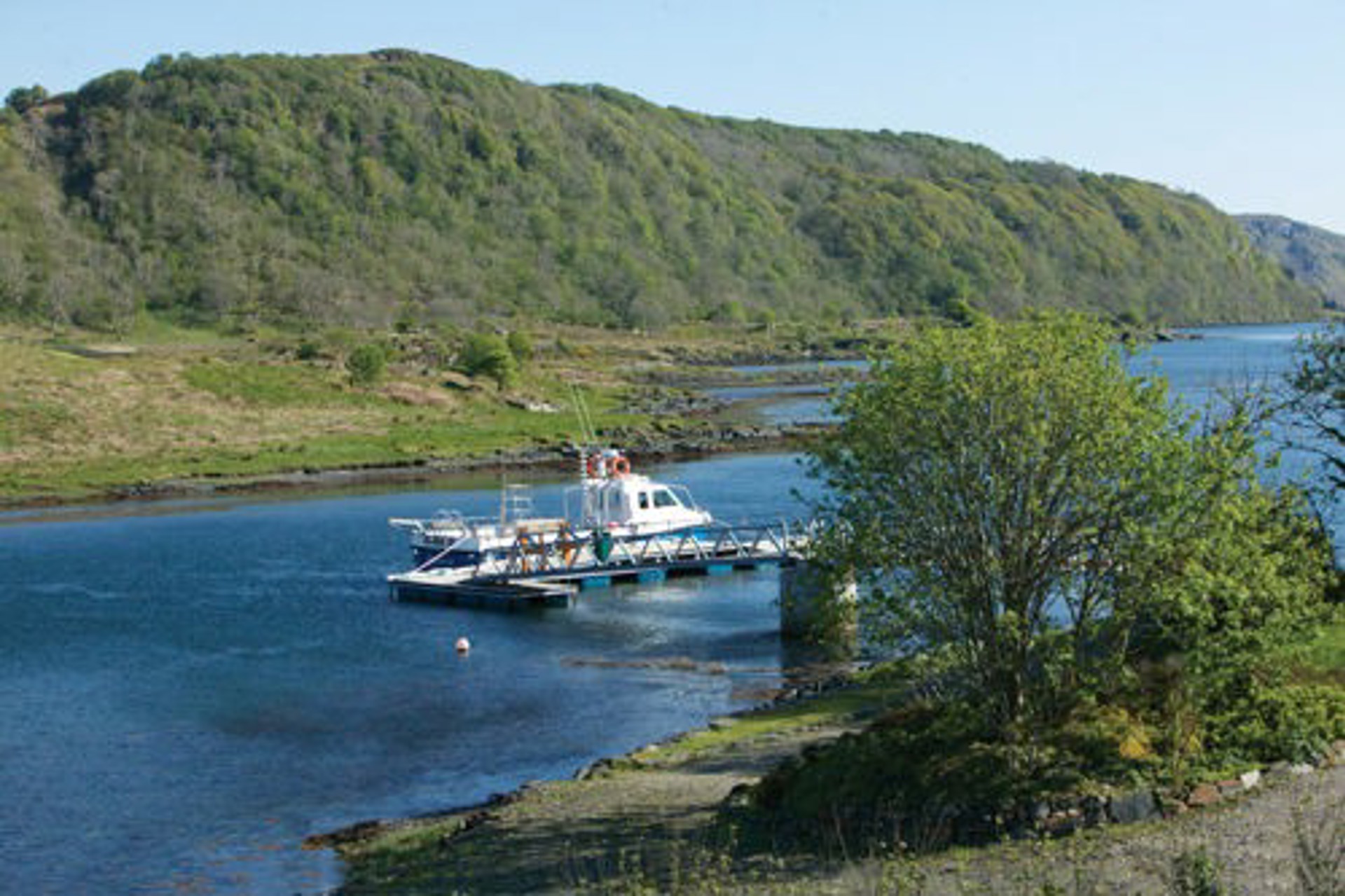 Background image - 1boat_on_pontoon_clean_2011.jpg