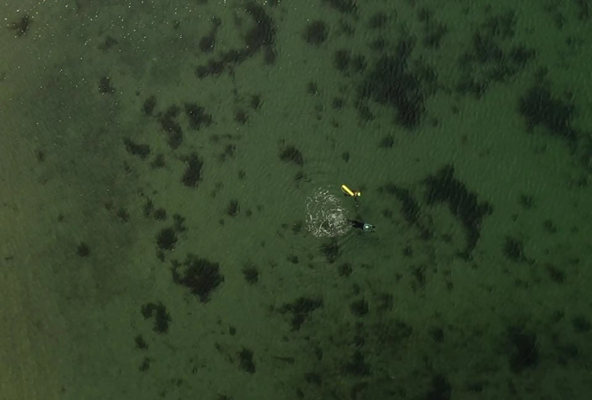 dan-merman-argyll-swimming-from-above.jpeg