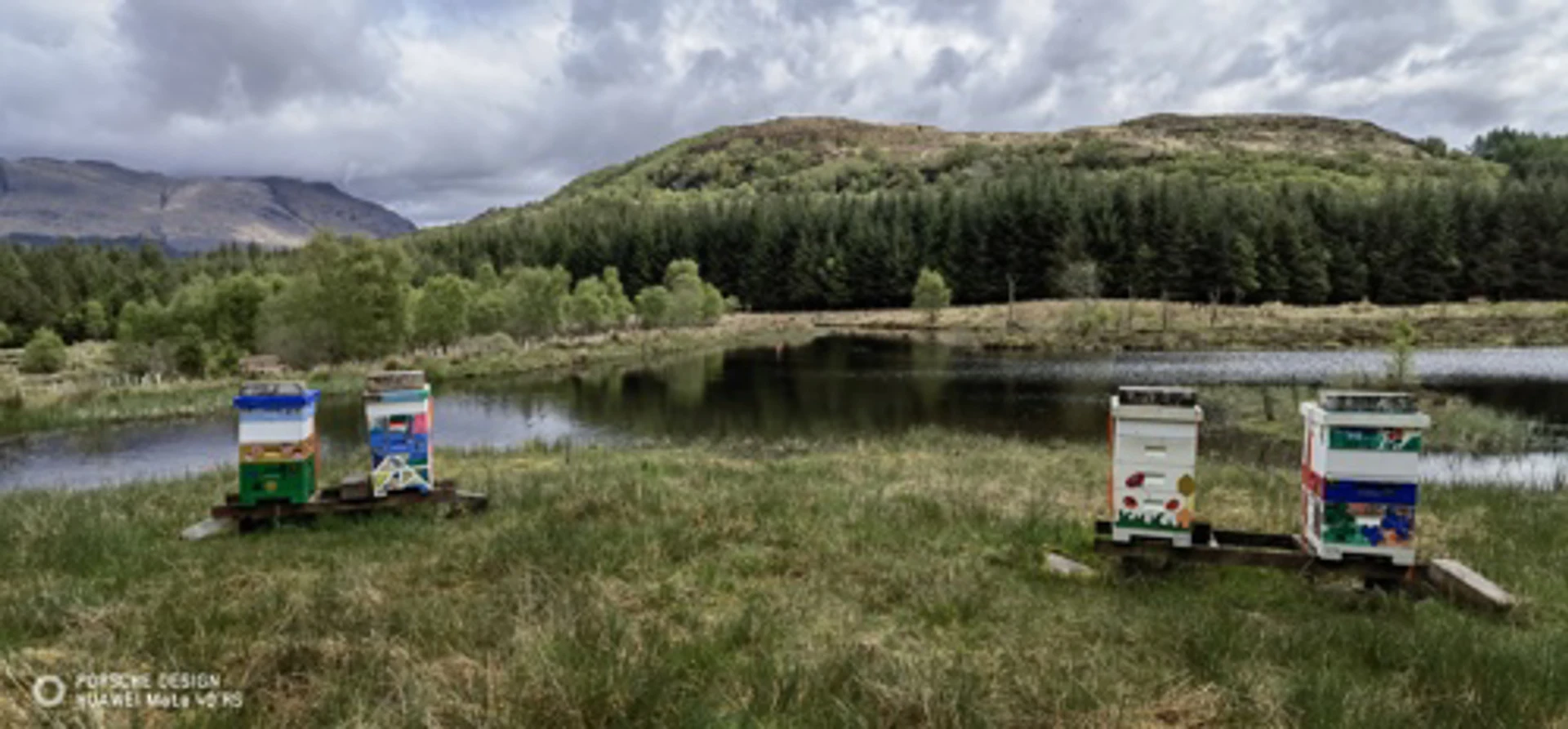 wild_about_argyll__5_.jpg