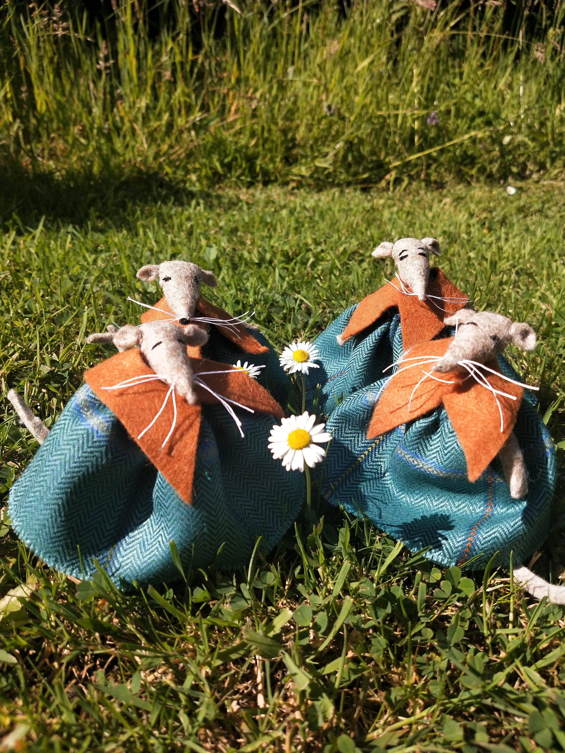 img20210706162247.jpg
