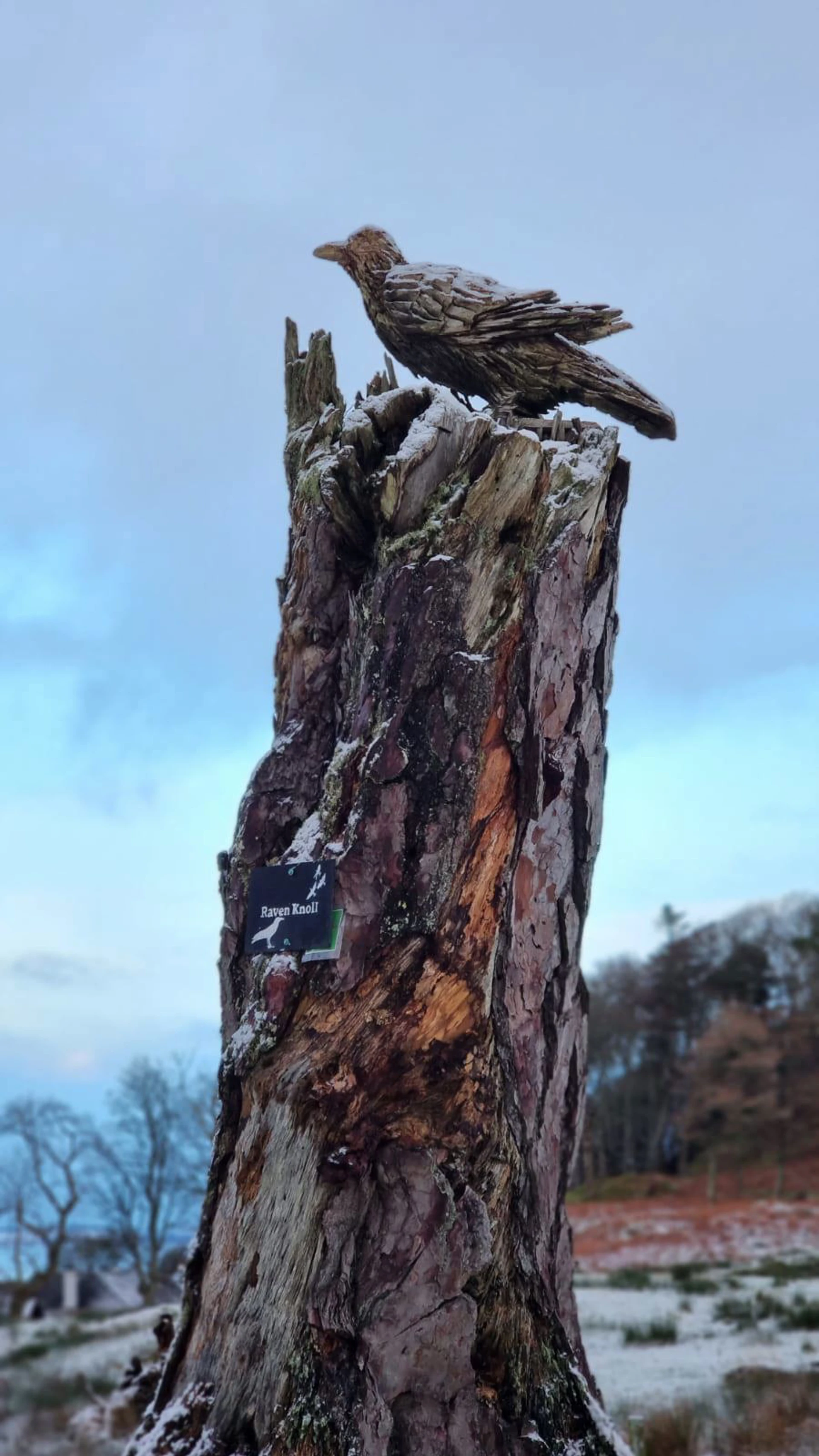 raven-knoll.jpg (2)