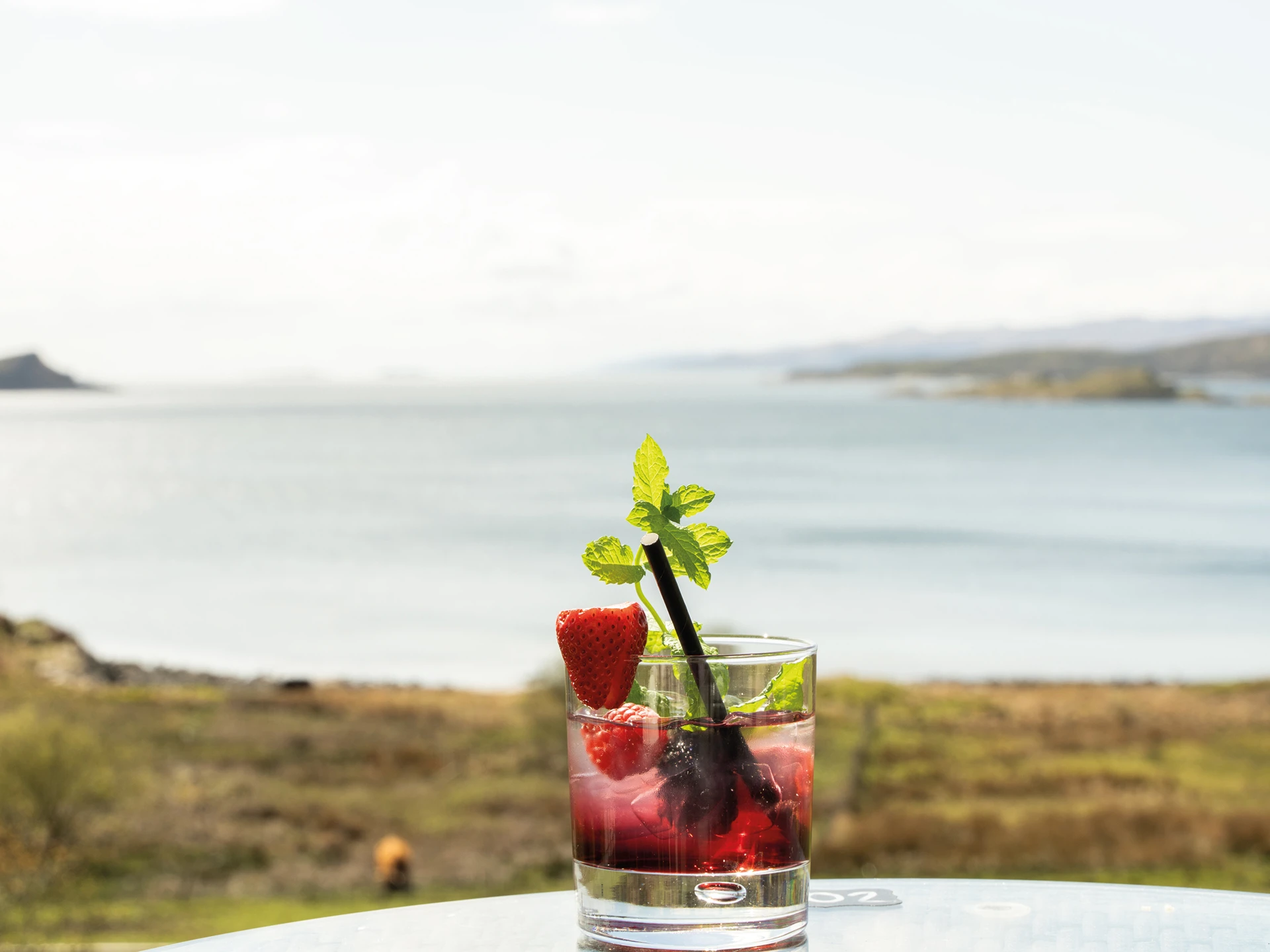 cocktail-2.jpg (8)