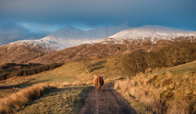 Ben Cruachan Winter