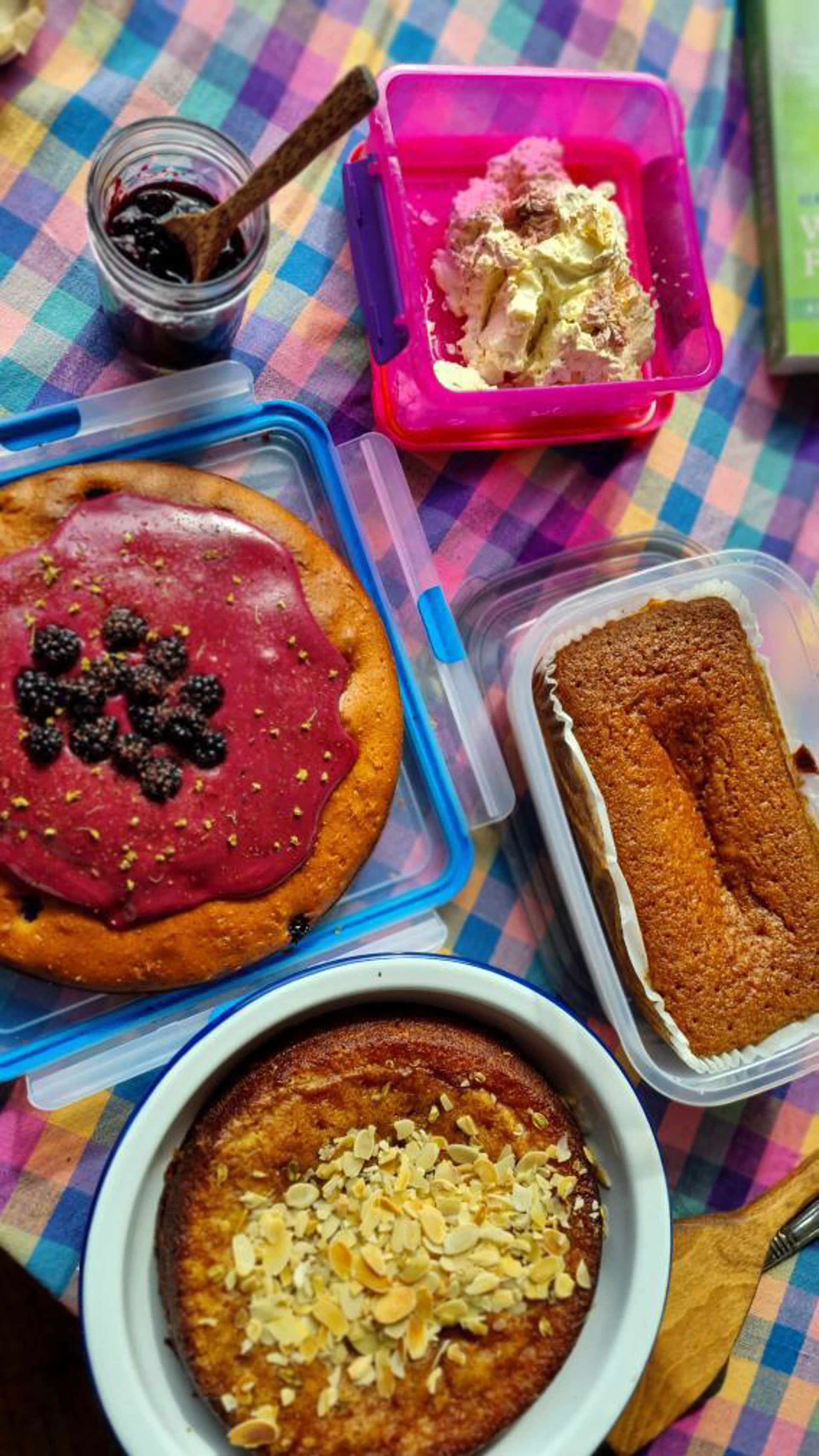 img_20230910_103613_148.jpg (6)