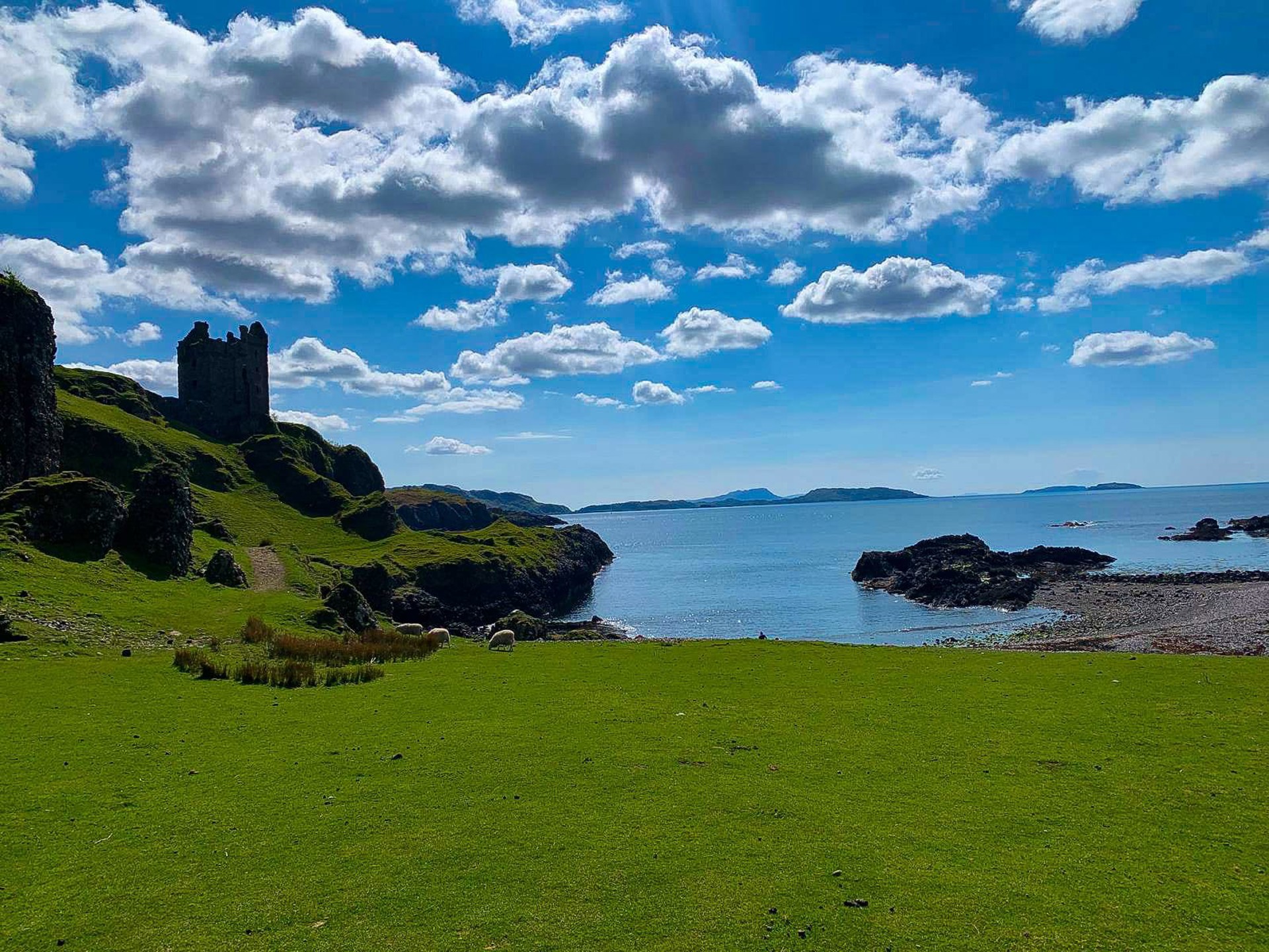 Background image - kerrera-gylen-castle-from-the-field-katy-runacres-kelpie-media.jpg (3)