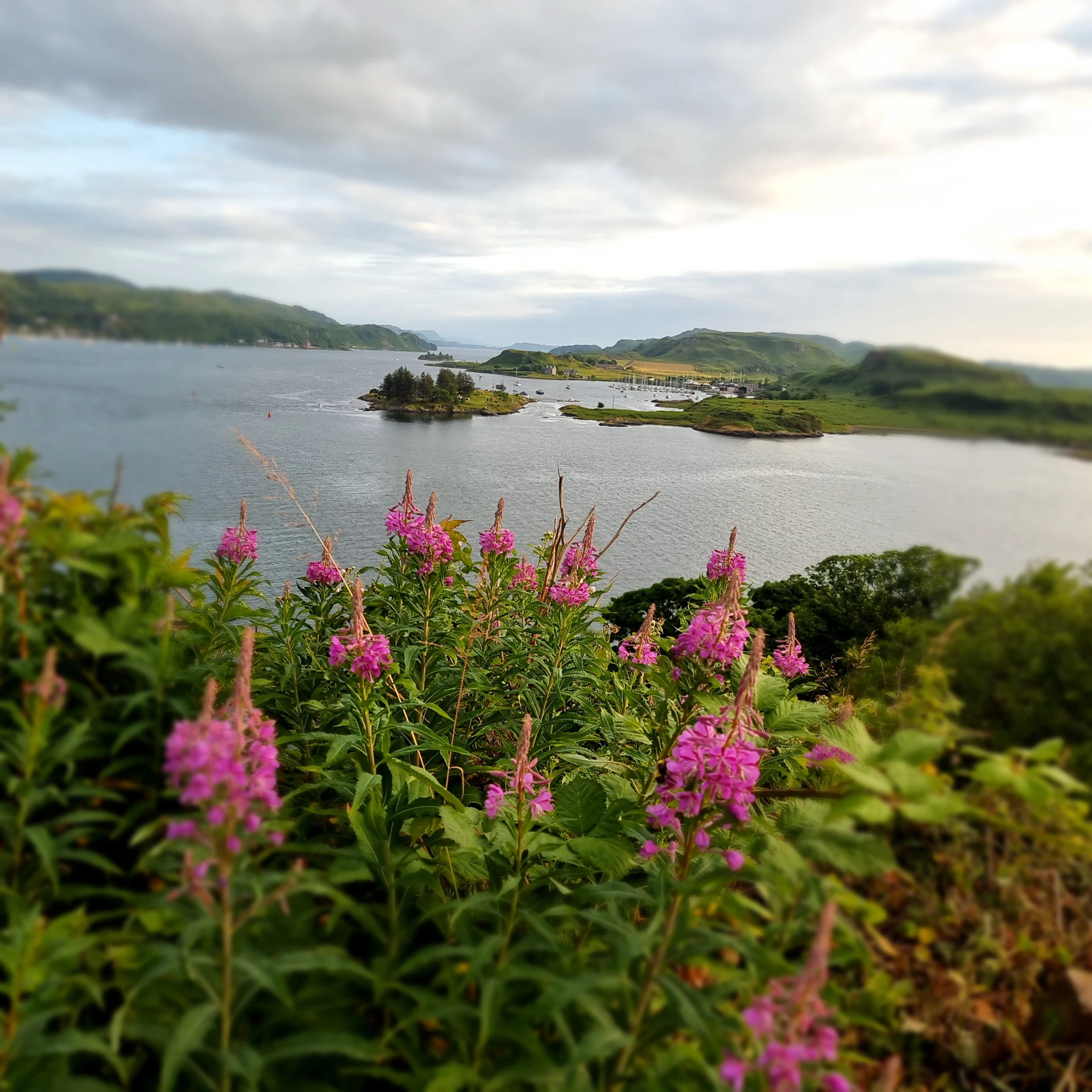 20230621_202619.jpg (1)