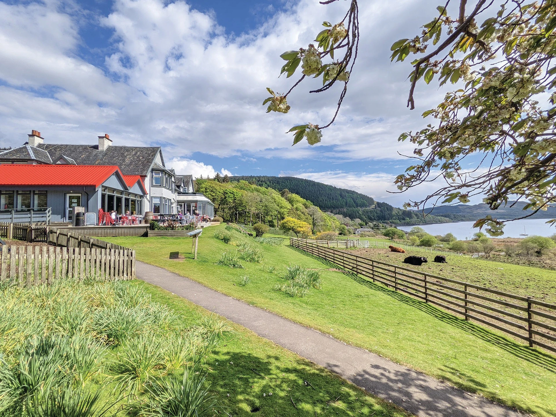 side-view-at-loch-melfort-hotel.jpg (2)