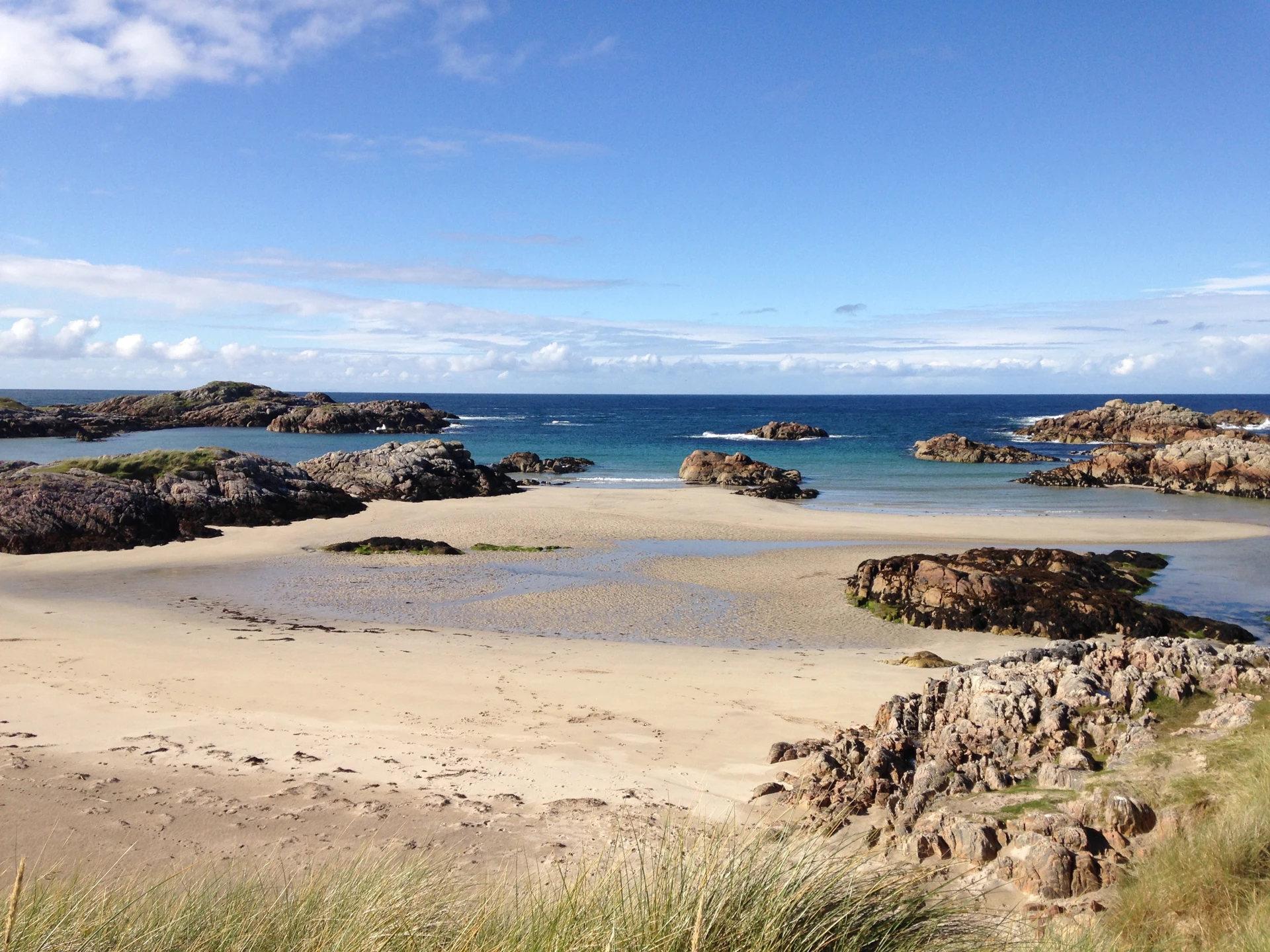 coll-beach-sept-15-mkk-robert-kidd.jpg (11)