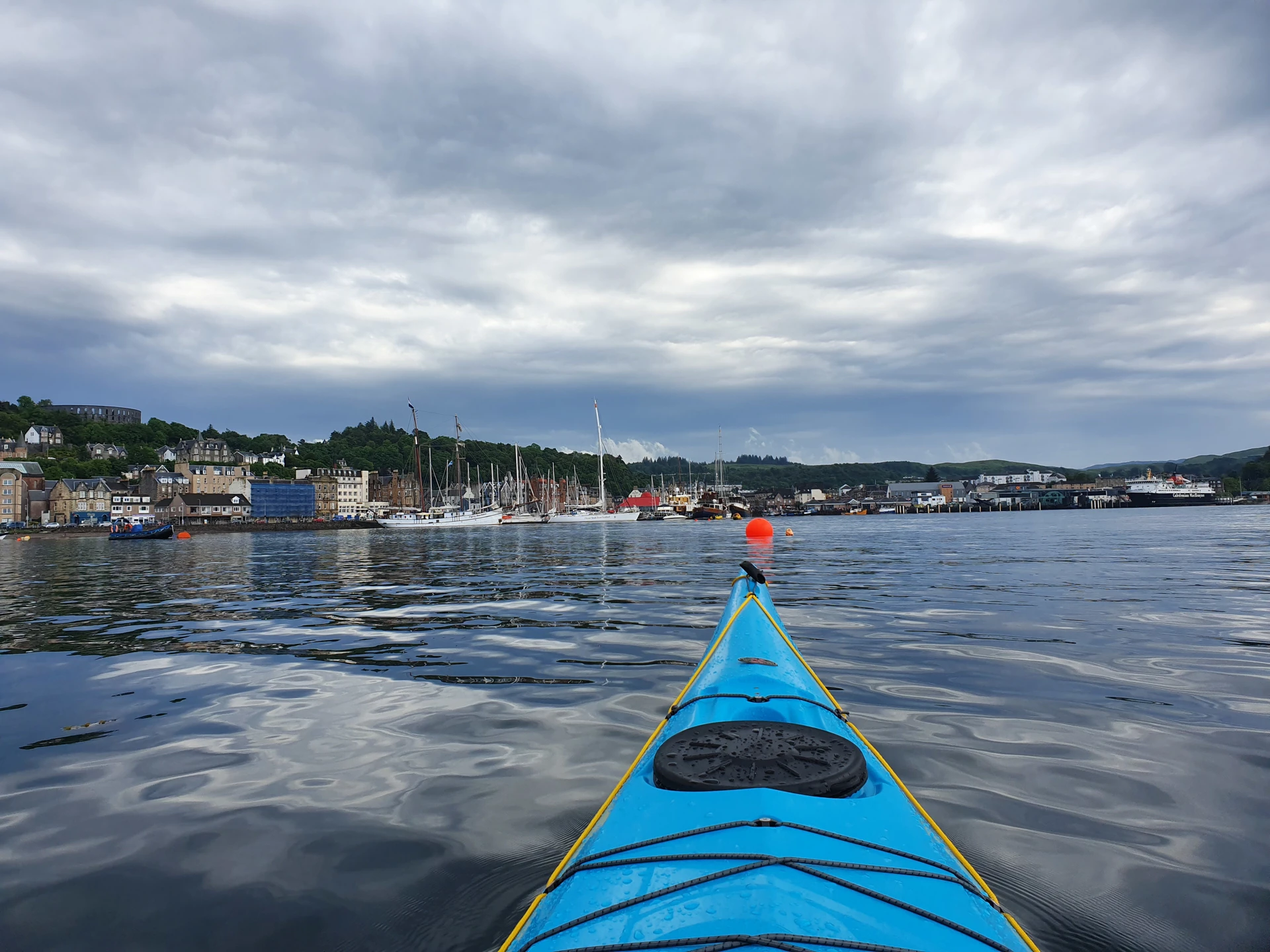 20190629_234105.jpg (4)