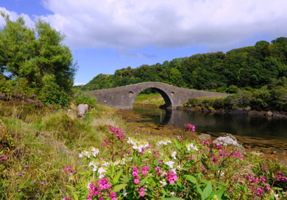 Clachan Bridge In Summer Dennis Hardley