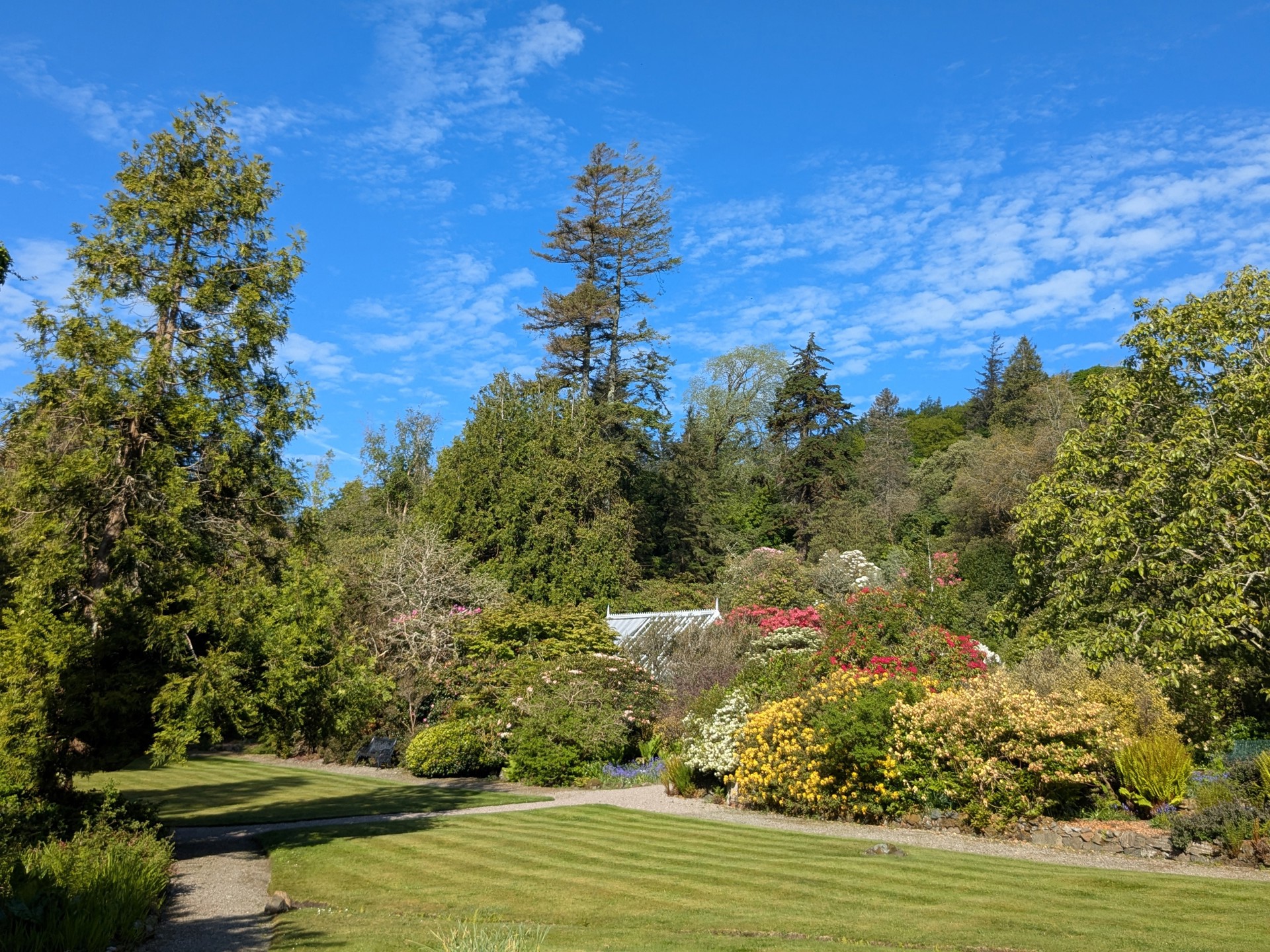 Background image - lower-garden.jpg (1)