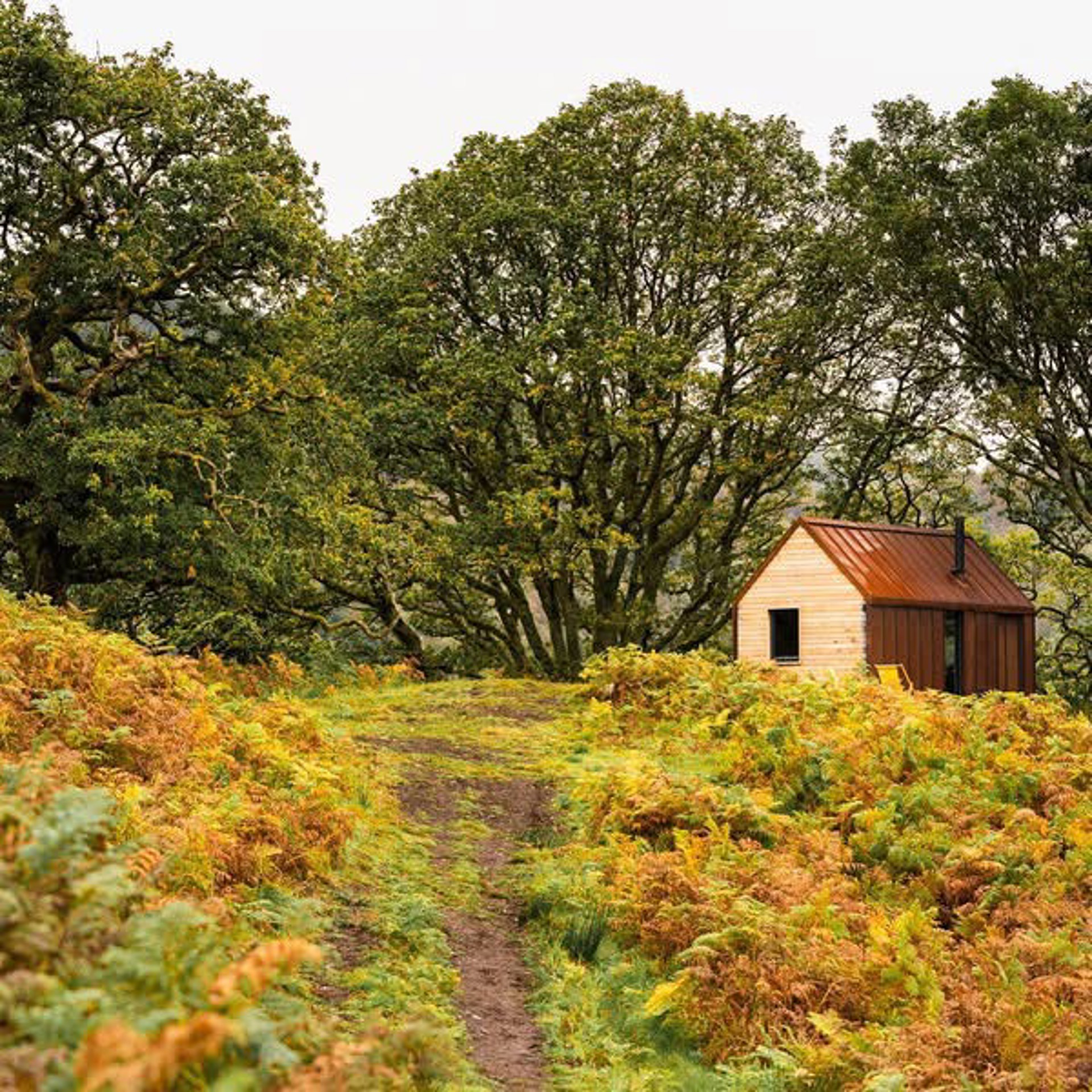 Background image - inverlonan-2-cabin.jpg (8)