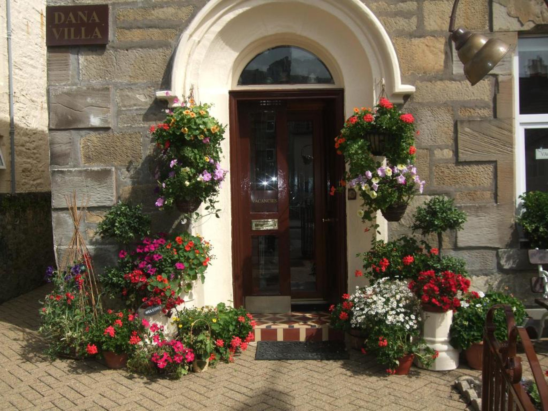 Background image - Dana Villa