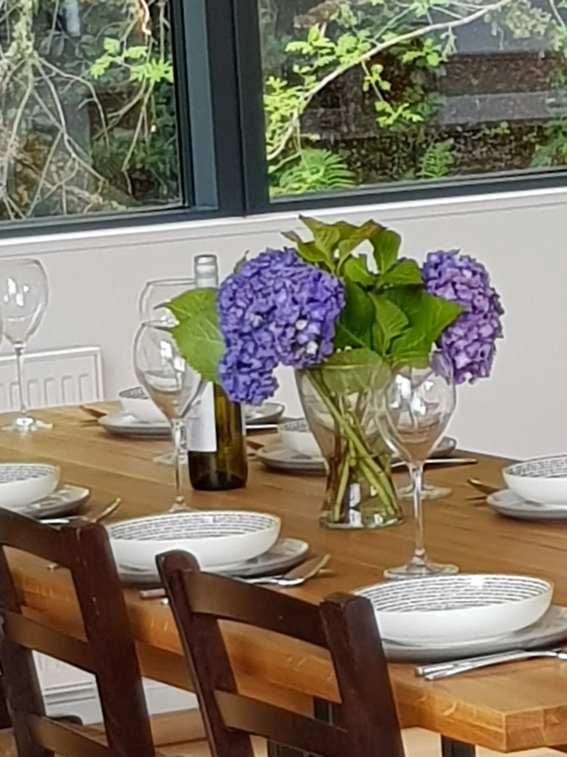 20180723_113616_resized.jpg