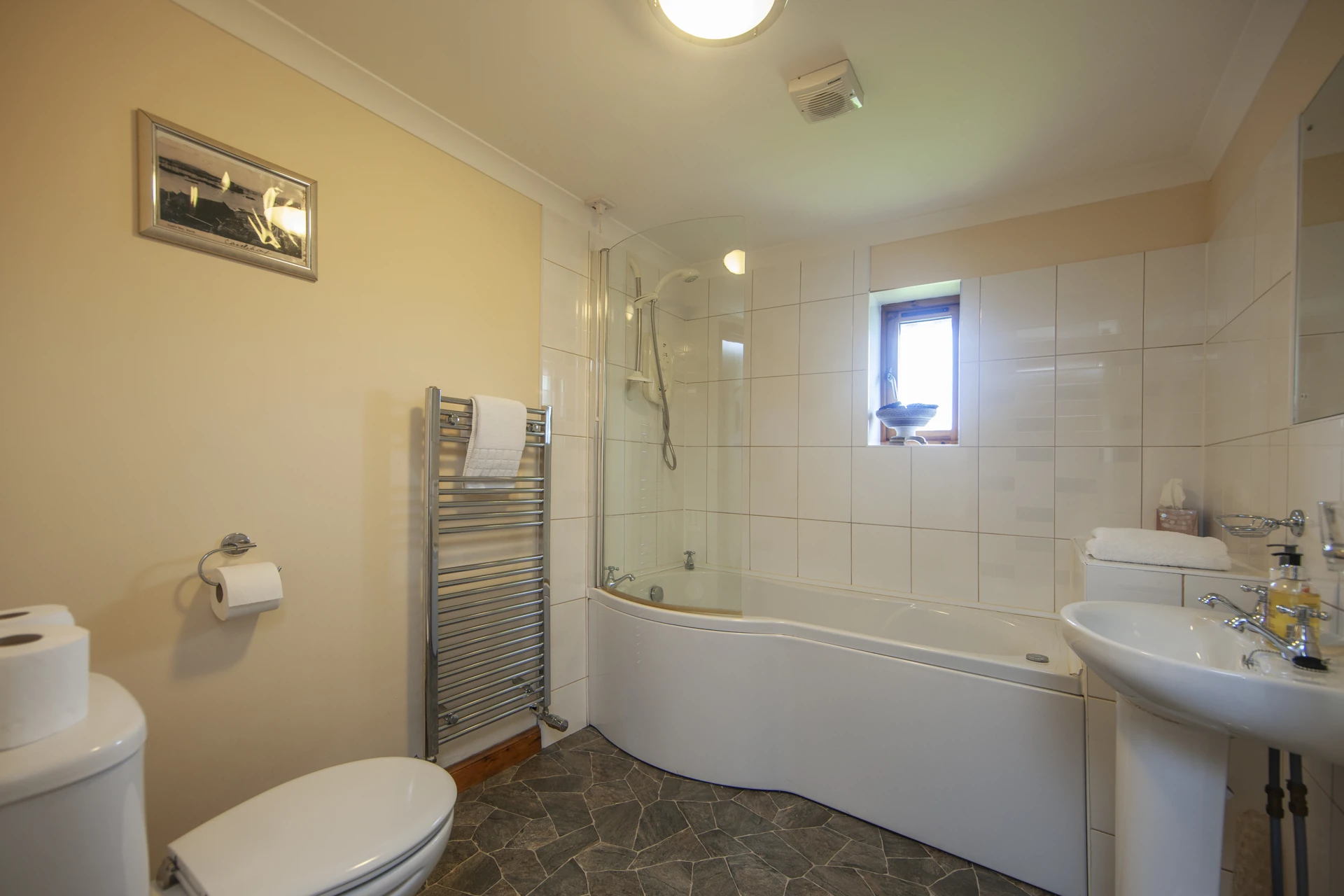 1z6e0832_cottage_1_bathroom.jpg (2)