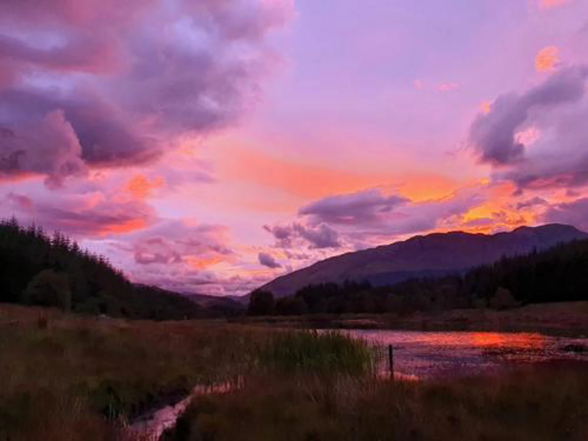 wild_about_argyll__7_.jpeg